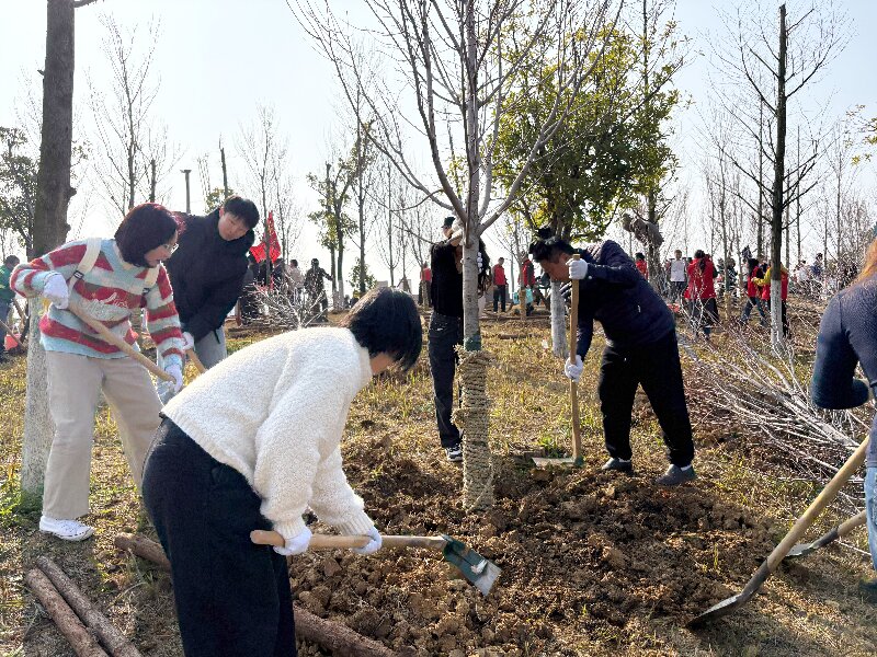 種下一片綠，收獲好心情：多靈磨盤洲的植樹(shù)活動(dòng)